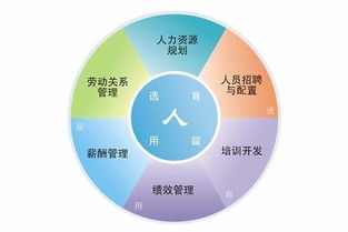 深圳辦理人力資源服務(wù)許可證全指南 條件、部門與流程